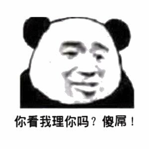 你看我理你了吗？傻屌！