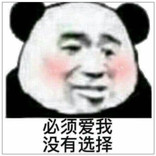 必须爱我，没有选择