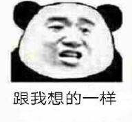 跟我想的一样