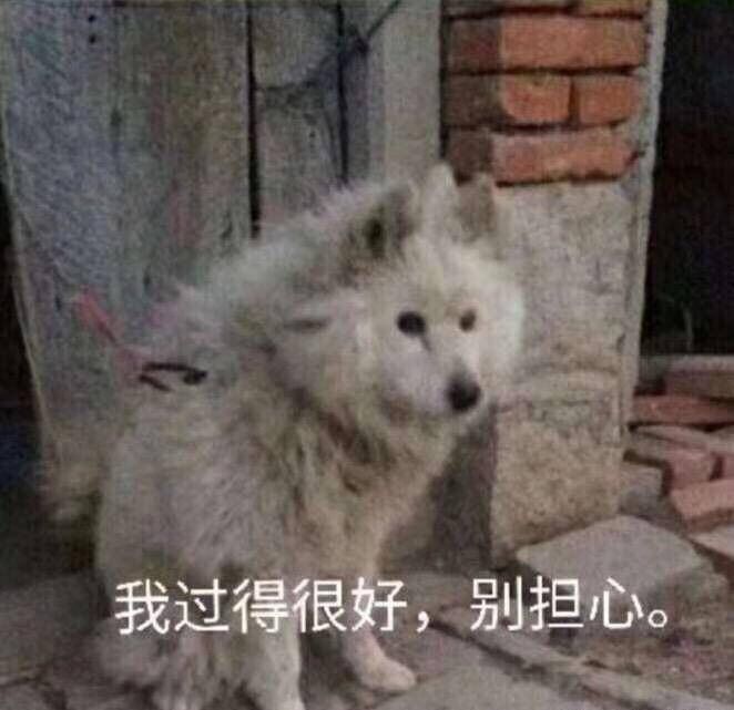 我过得很好，别担心