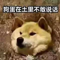 狗蛋在土里不敢说话
