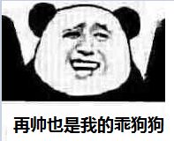 再帅也是我的乖狗狗