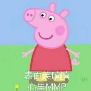 表面笑嘻嘻，心里MMP