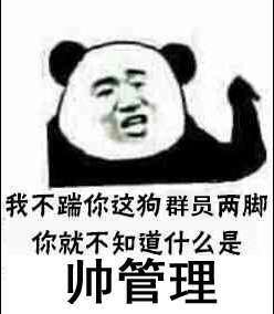 我不踹你这狗群员两脚你就不知道什么是帅管理！