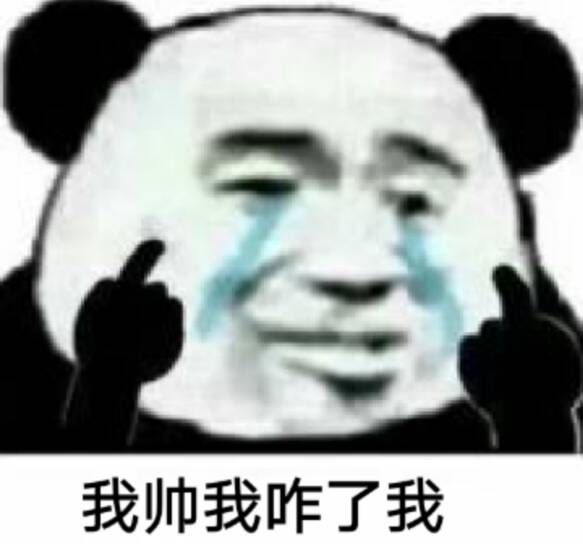 我帅我咋了我