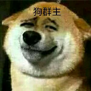 狗群主