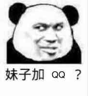 妹子加QQ？（熊猫人教皇）