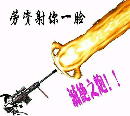 劳资射你一脍