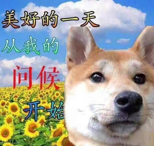 美好的一天从我的问候开始