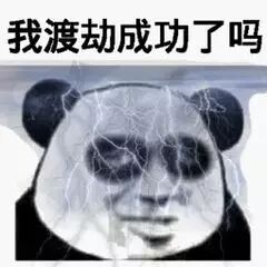 我渡劫成功了吗