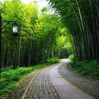 大自然微信头像_换上头像感受大自然的美好_微信头像图片大全