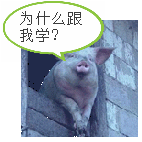 为什么跟我学？