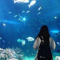 水族馆女生背影头像_微信头像图片大全