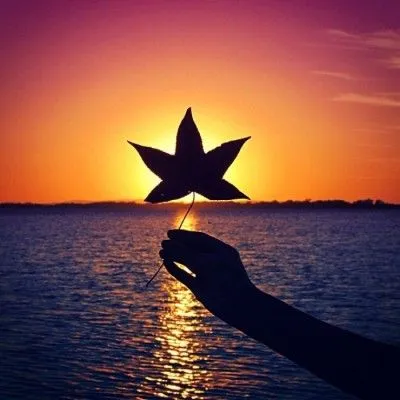 漂亮的微信头像图片大全女生唯美