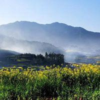 乡村大自然风景头像 真实美丽乡村风景头像_微信头像图片大全