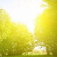 春天阳光明媚的风景头像-爱微控