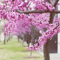 微信主题风景照片_微信头像图片大全