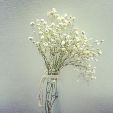 有意境带好运的风景头像大全 微信风景头像真实花草图片,风景头像图片