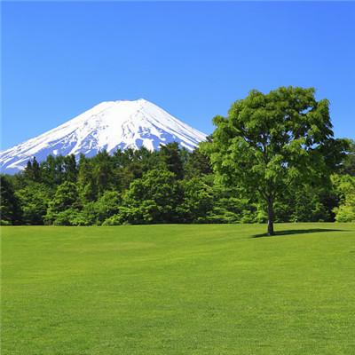 微信最吉利的好看头像自然风景 寓意吉利的风景图片头像 .