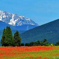 草原山川四季风景微信头像 真实大自然风景图片