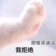 跟傻逼讲话，我拒绝