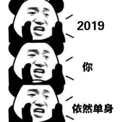 2019你依然单身