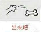 出来吧