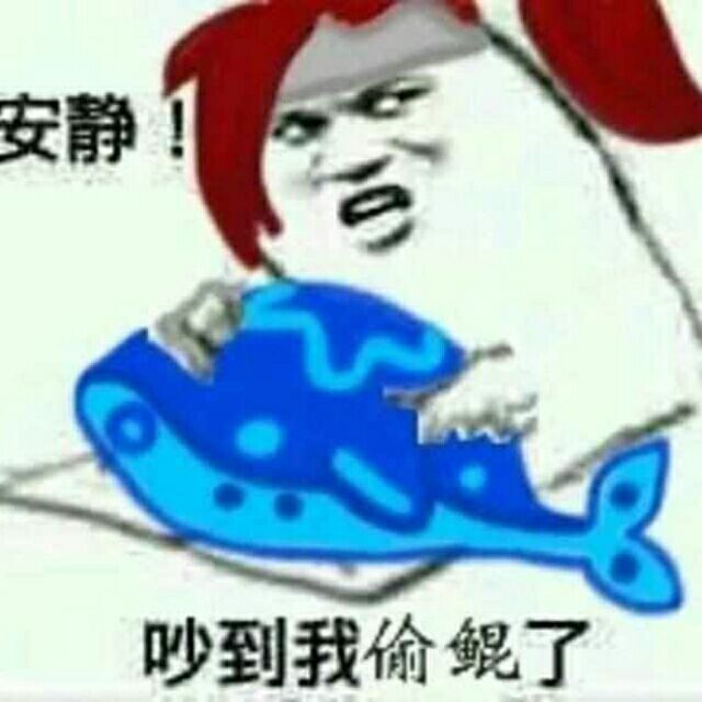 安静，吵到我偷鲲了