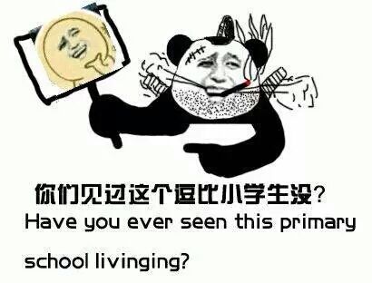 你们见过这个逗比小学生没？