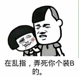 再乱指,弄死你个装B的