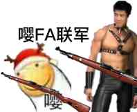 嘤FA联军