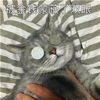 被金钱蒙蔽了双眼