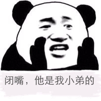 闭嘴,他是我小弟的