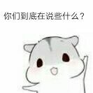 你们到底在说些什么？