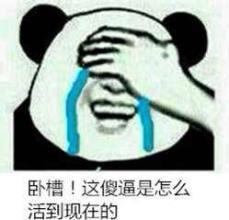 卧槽！这傻逼是怎么活到现在的