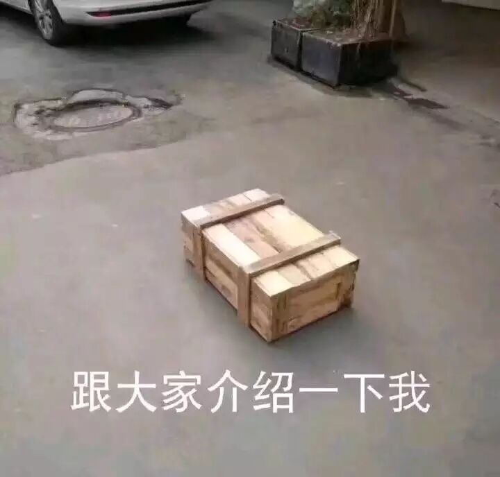 跟大家介绍一下我