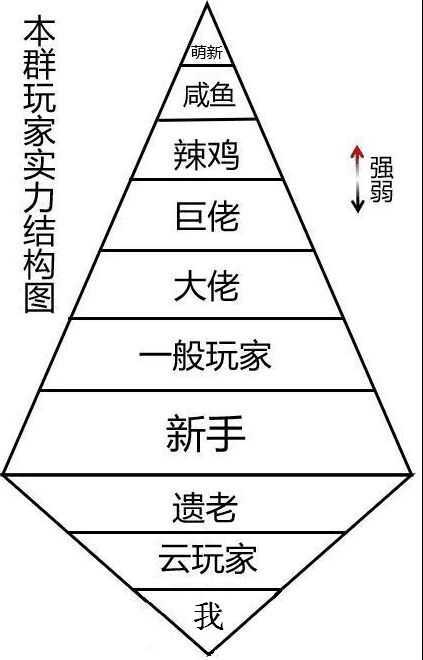 本群玩家实力结构图