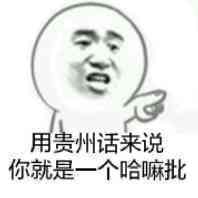 用贵州话来说，你就是一个哈嘛批