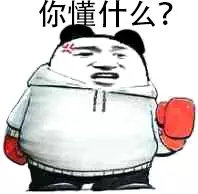 你懂什么？