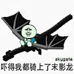 吓得我都骑上了末影龙