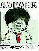 身为群草的我，实在是看不下去了
