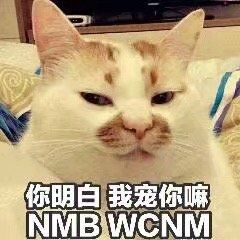 你明白我宠你嘛NMBWCNM