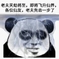 老夫天劫将至，即将飞升仙界，各位仙友，老夫先去一步了