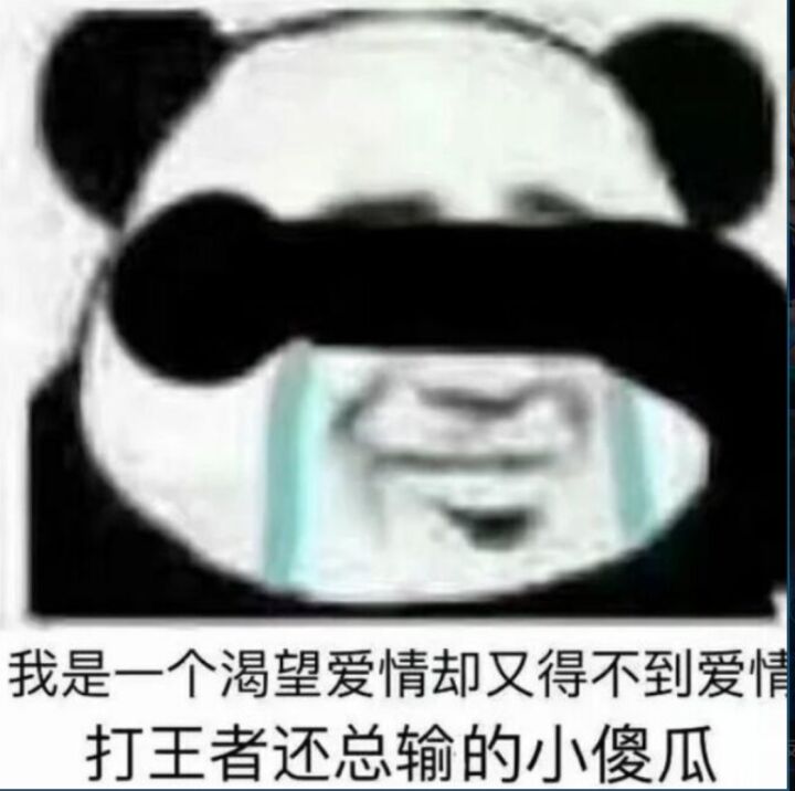 我是一个渴望爱情却又得不到爱打王者还总输的小傻瓜