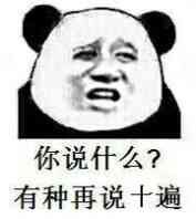 你说什么？有种再说十遍！