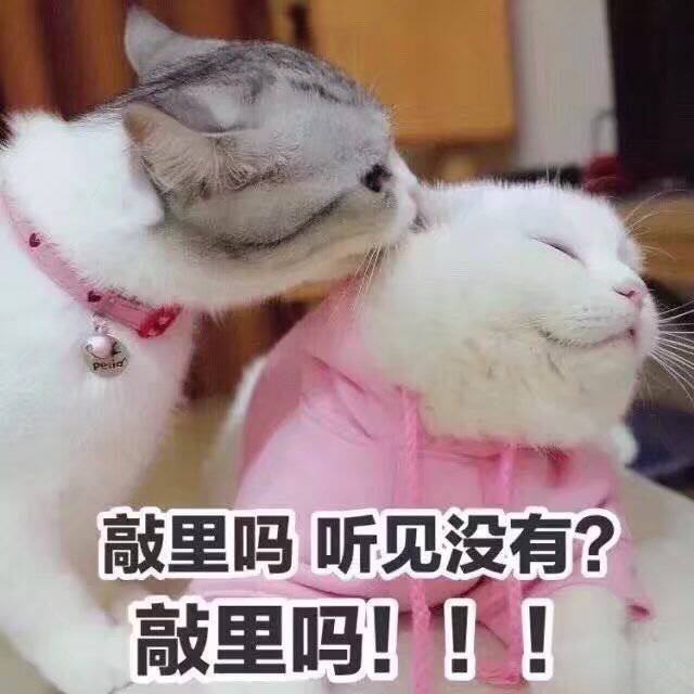 敲里吗，听见没有？敲里吗！