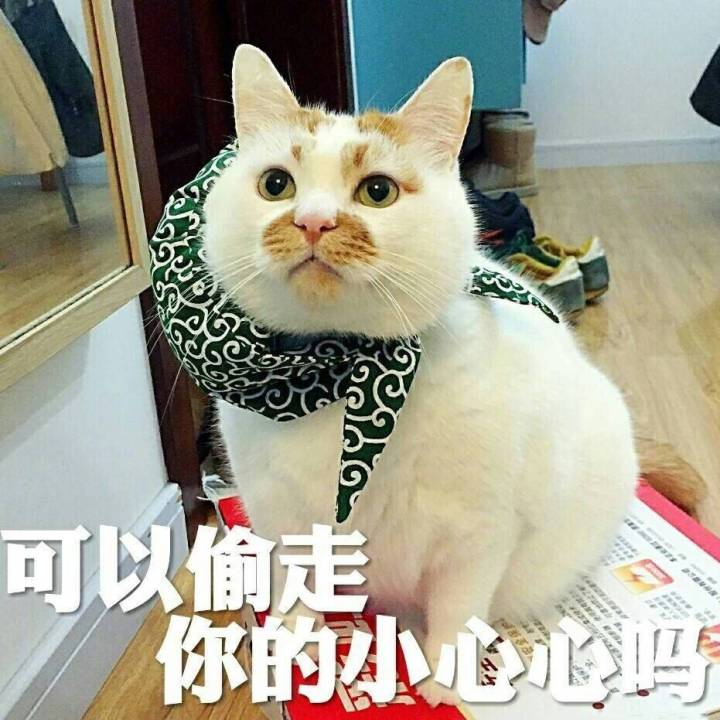 可以偷走你小心心吗？