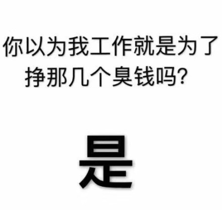 你以为我工作，就是为了挣那几个臭钱吗？是