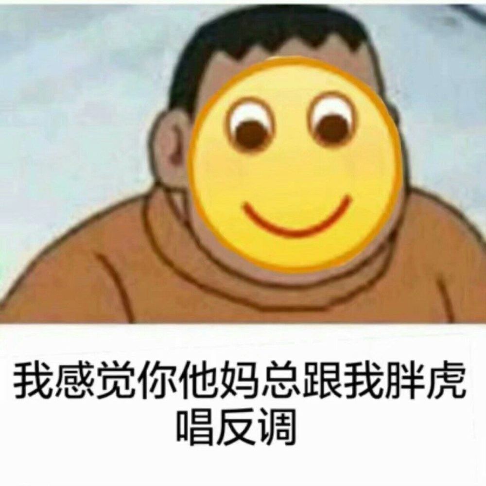 我感觉你他妈总跟我胖虎唱反调