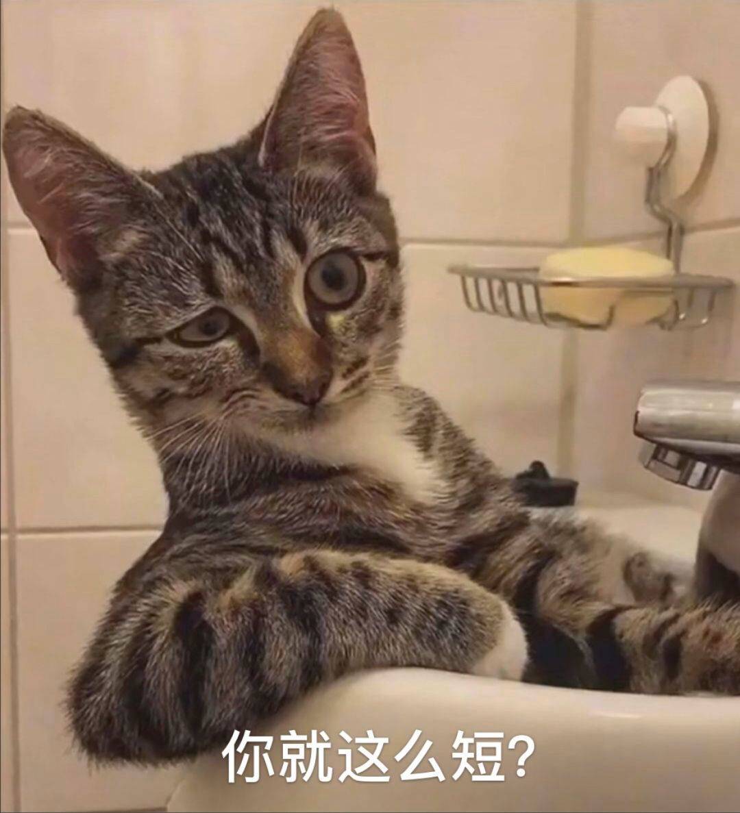 你就这么短？